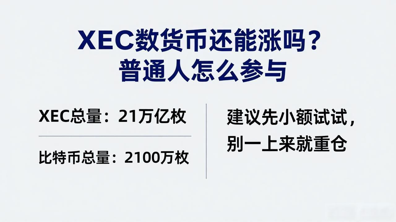XEC介绍_xec数字货币_XEC技术基础